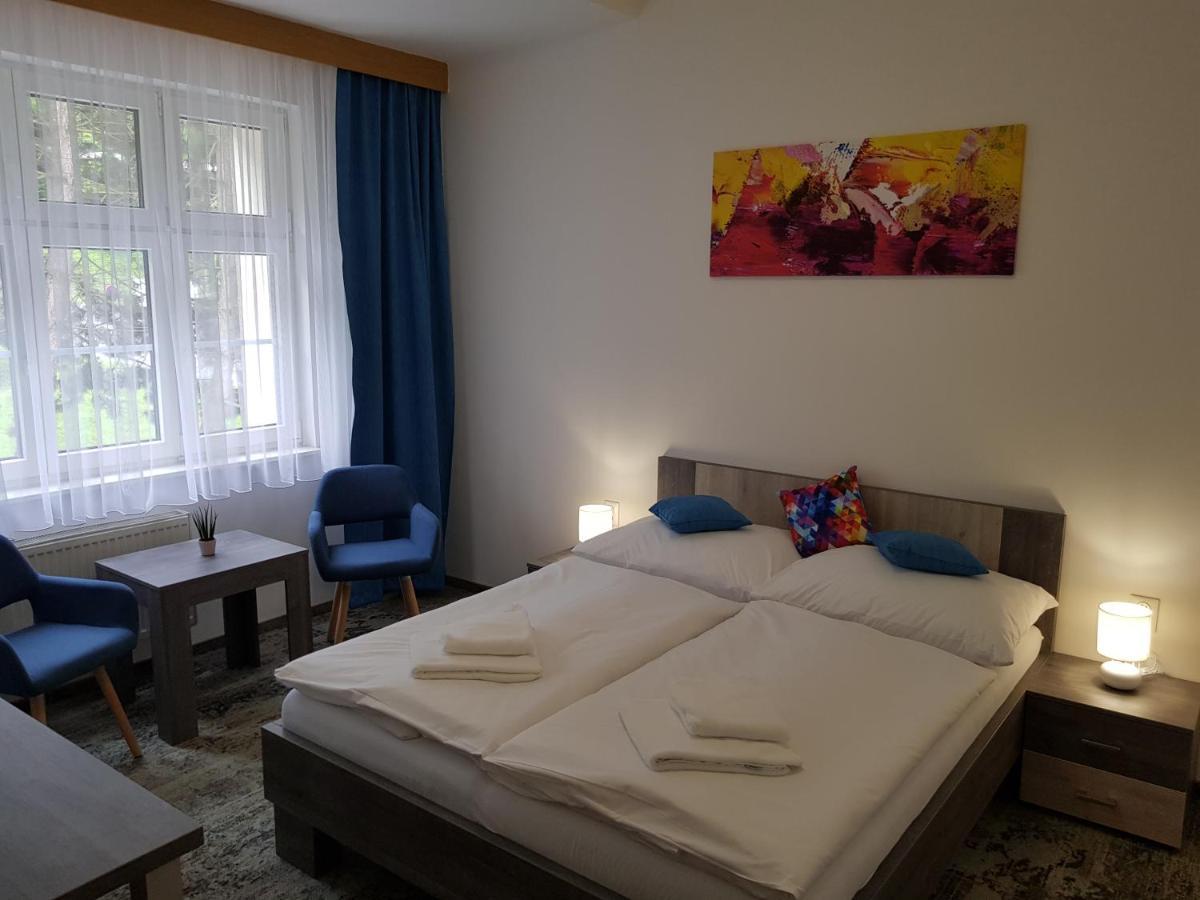 Penzion Vila Tereza Hranice  Extérieur photo